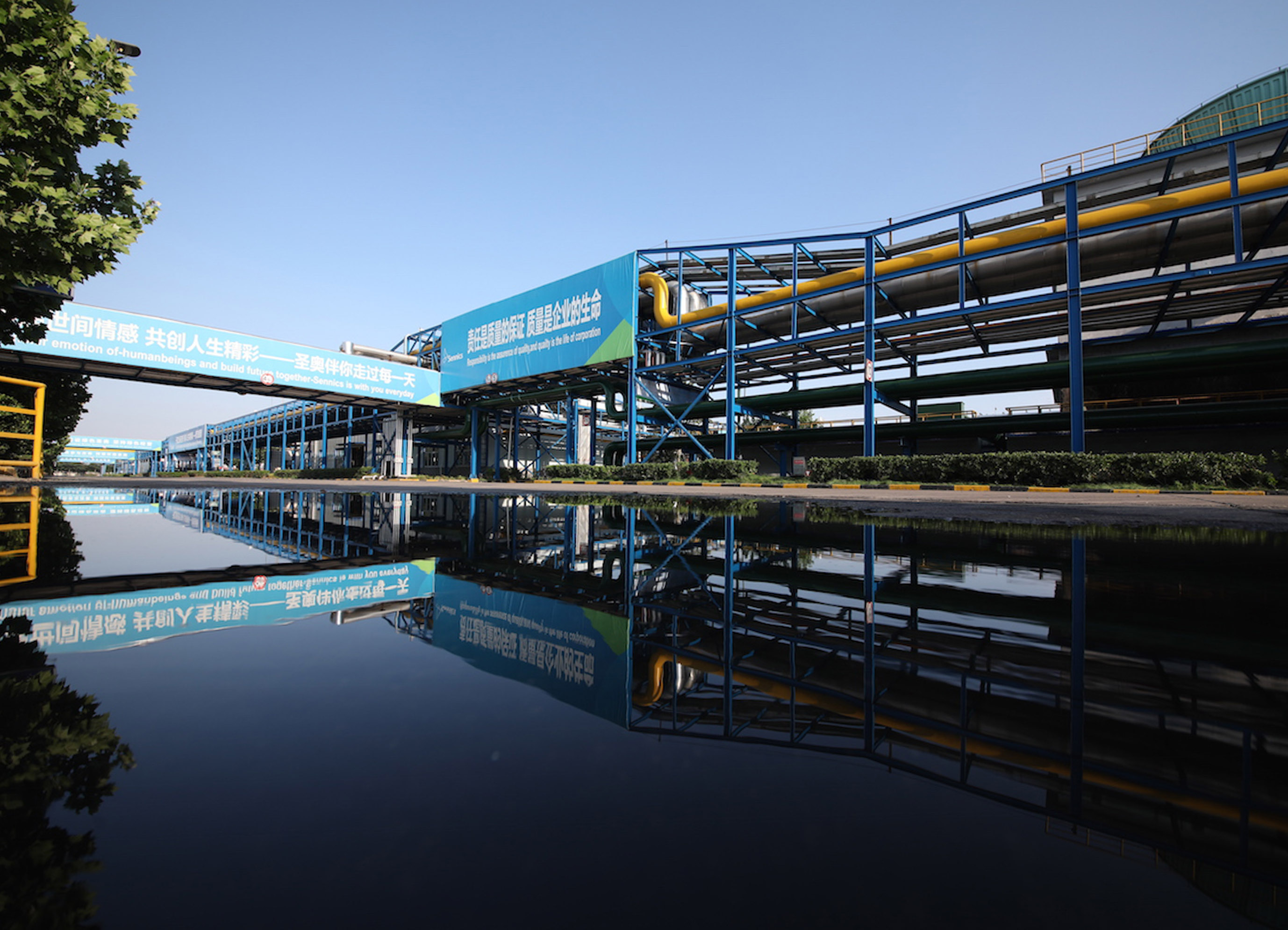 山东圣奥入选2020年度山东省高端品牌培育企...