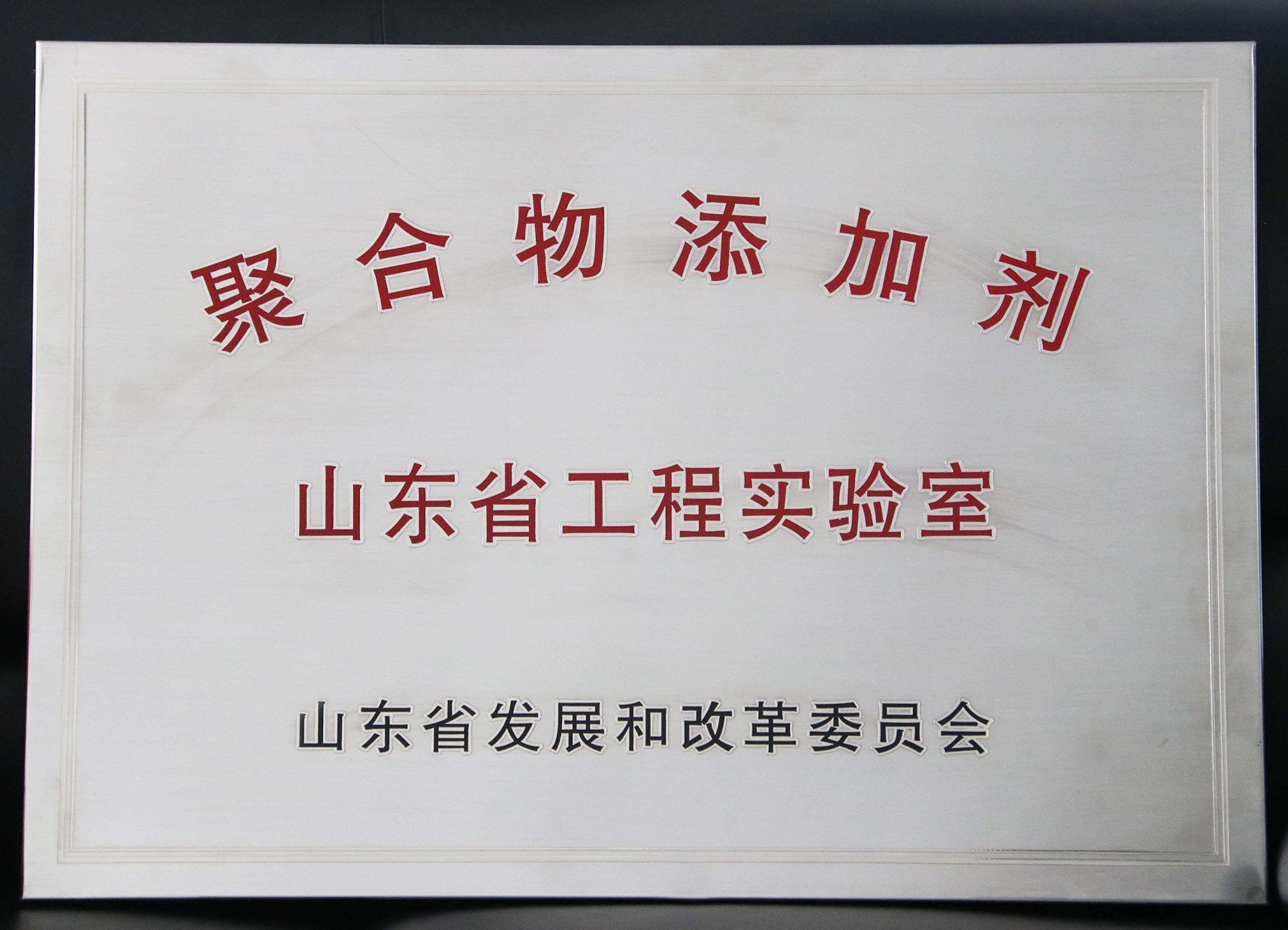 山东圣奥荣获“聚合物添加剂山东省工程实验...