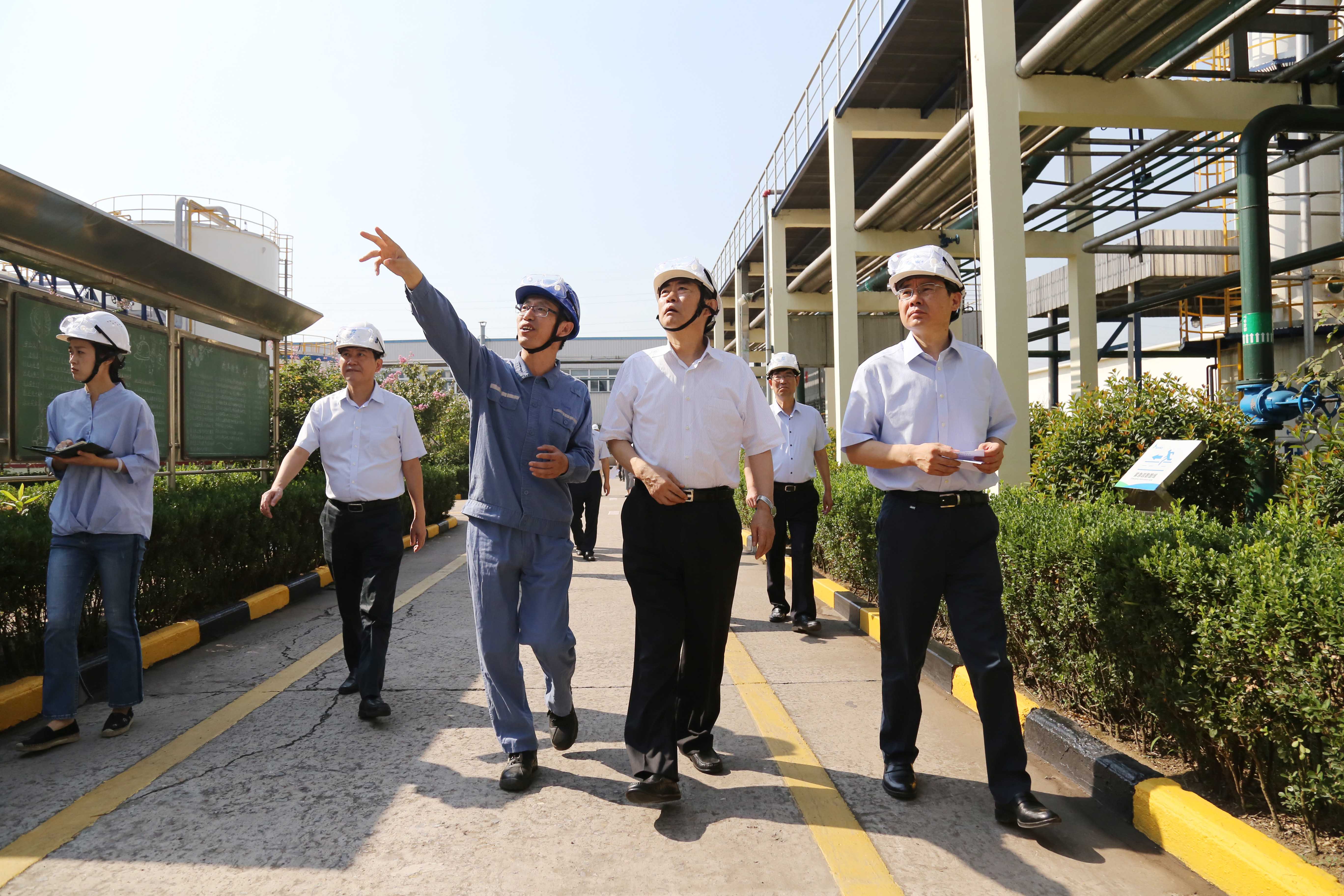 安徽省委常委、常务副省长邓向阳莅临安徽圣...