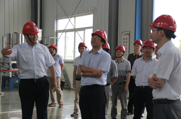 铜陵市委副书记、代市长倪玉平莅临安徽圣奥...